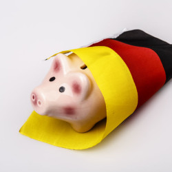 Sparschwein mit Deutschlandfahne